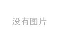 玉带草